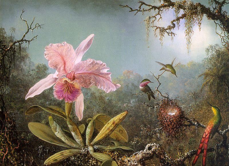 Famous Orchid Paintings